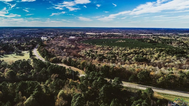 28AC Fm 134, Jefferson, TX 75657 - photo 4