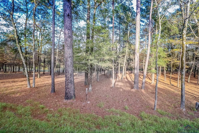 28AC Fm 134, Jefferson, TX 75657 - photo 23