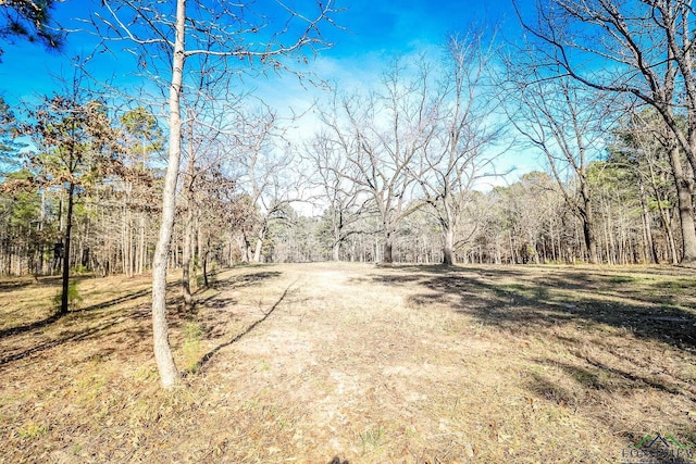 28AC Fm 134, Jefferson, TX 75657 - photo 25
