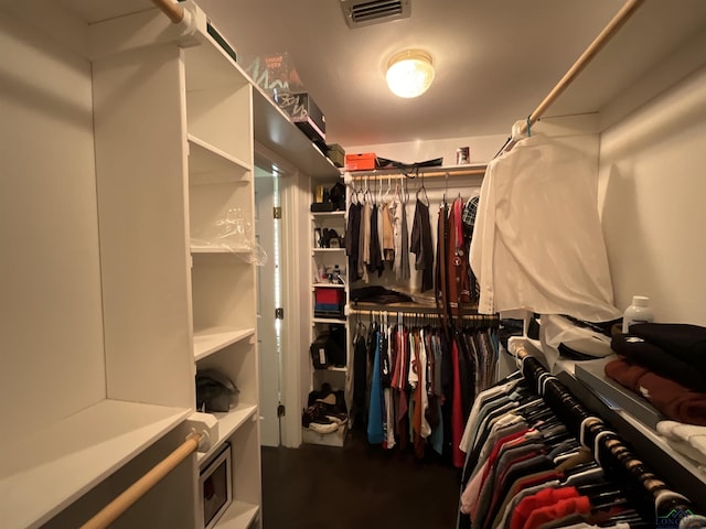 view of walk in closet