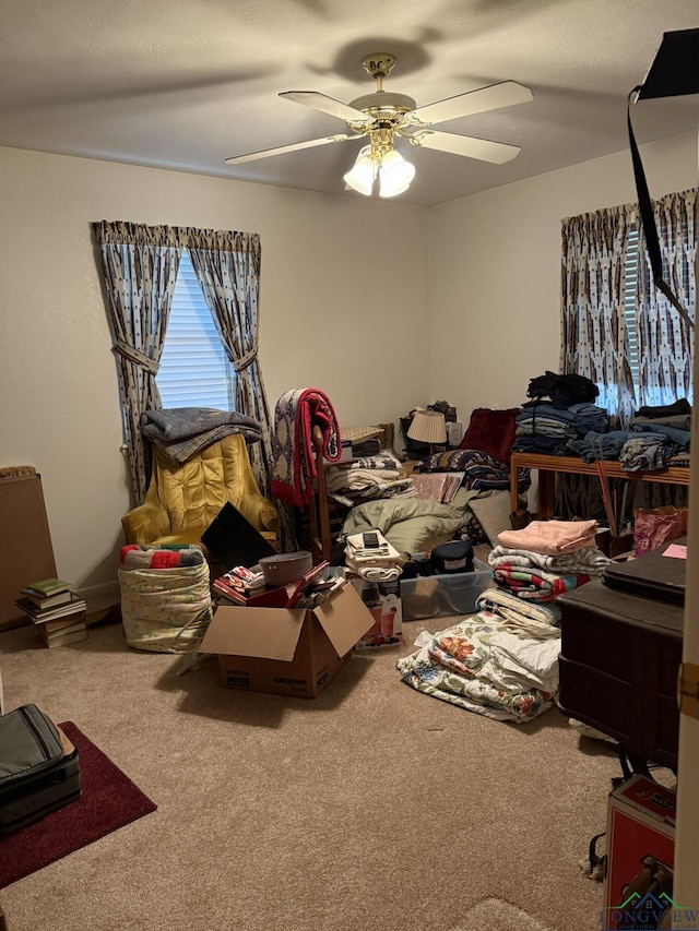 interior space with carpet and ceiling fan