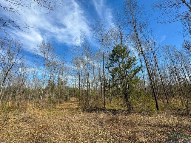 0003 Fm 1399, Marietta, TX 75566