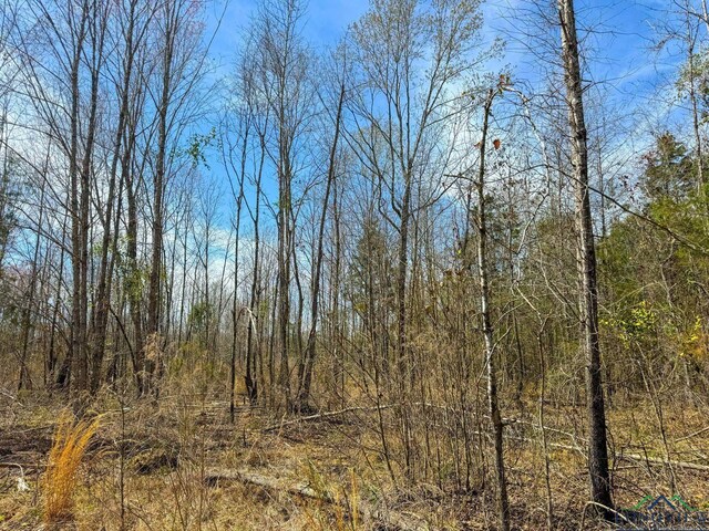 0003 Fm 1399, Marietta, TX 75566