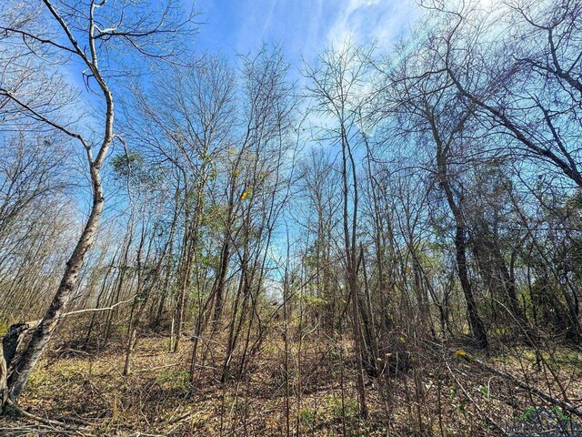 0003 Fm 1399, Marietta, TX 75566