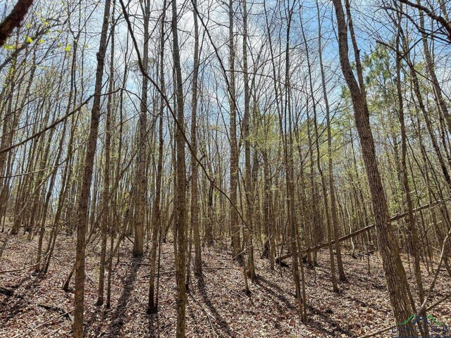 0003 Fm 1399, Marietta, TX 75566