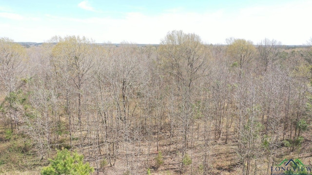 0003 Fm 1399, Marietta, TX 75566