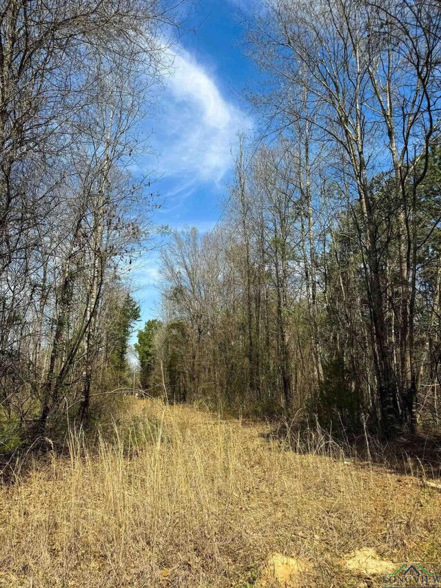 0003 Fm 1399, Marietta, TX 75566