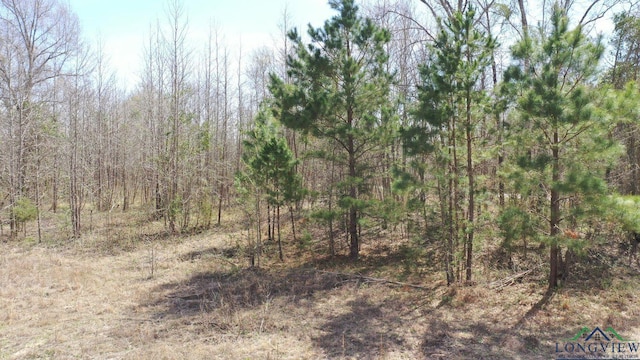 0003 Fm 1399, Marietta, TX 75566