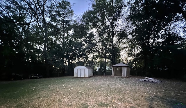 view of yard with a storage unit