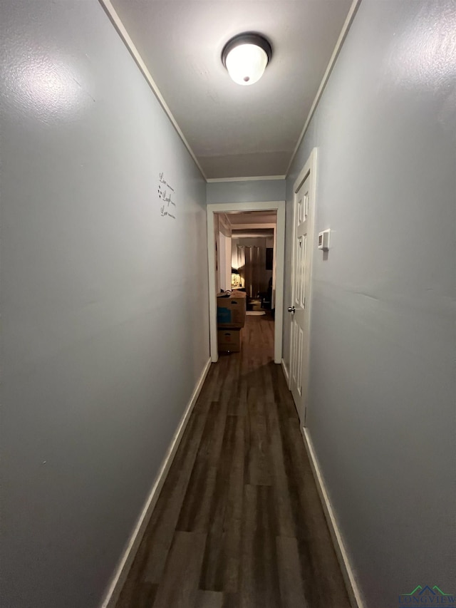 corridor with crown molding and dark wood-type flooring