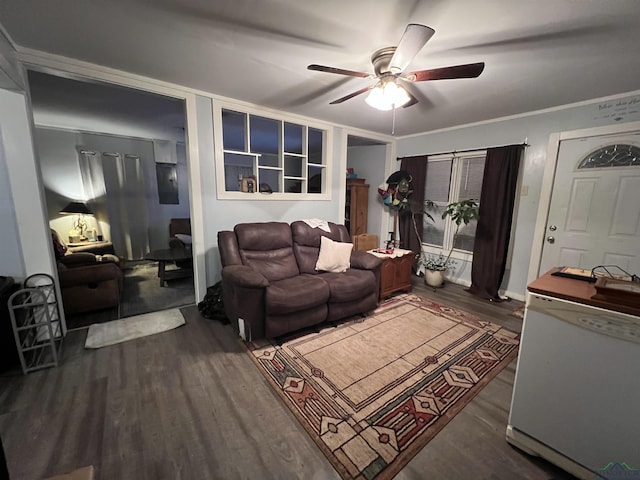 living room featuring ceiling fan, dark hardwood / wood-style flooring, and ornamental molding