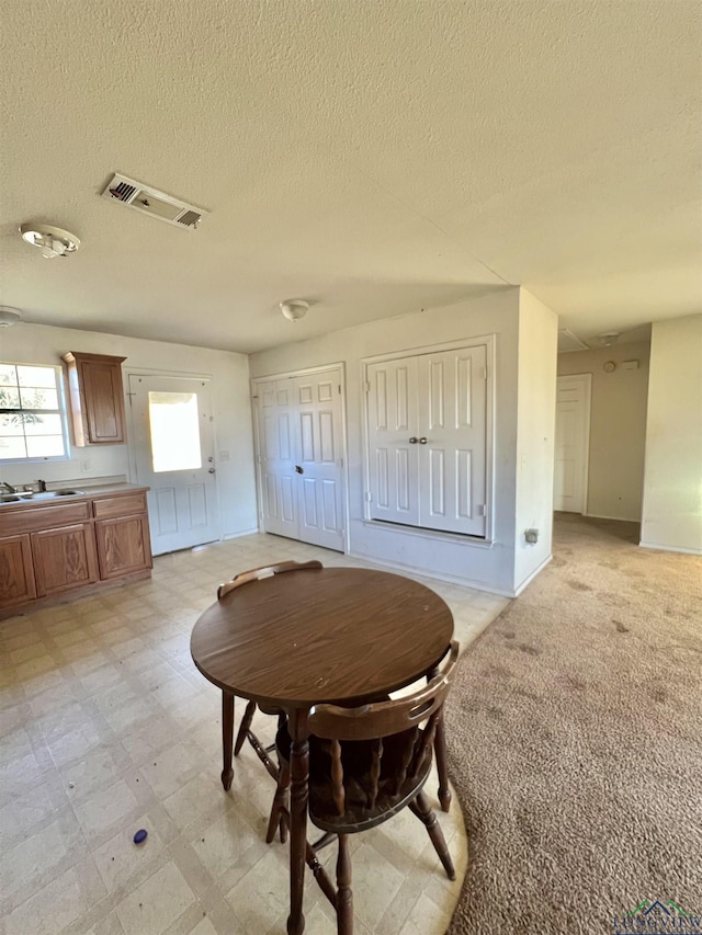 carpeted dining room featuring a textured ceiling and sink