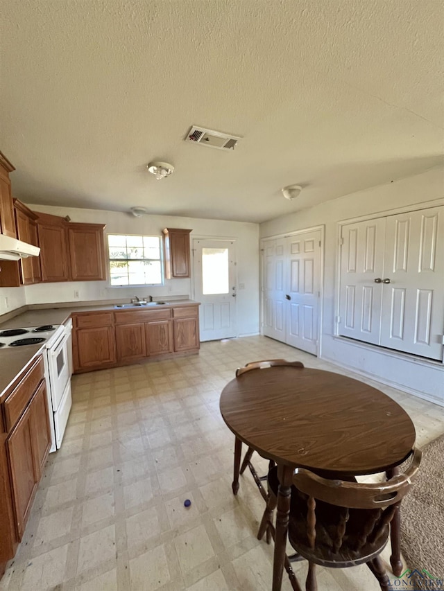 kitchen with sink, white electric range, a textured ceiling, and range hood