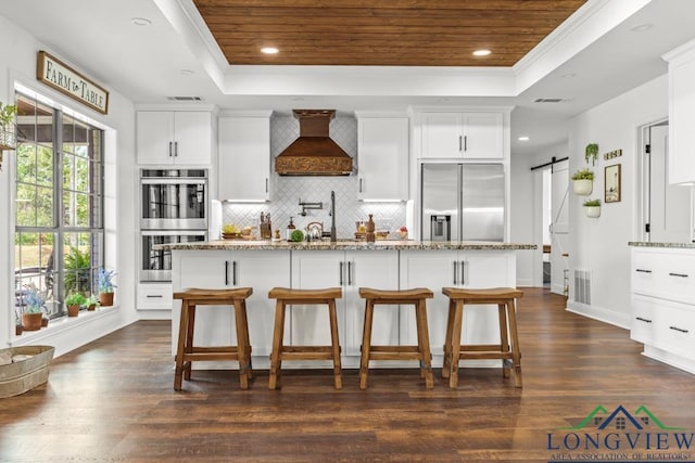 6056 Bobwhite Rd, Gilmer, TX 75645 - kitchen featuring stainless steel appliances, custom range hood, a tray ceiling, a barn door, and dark wood-type flooring