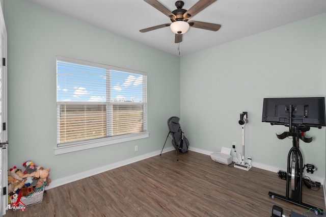 workout area with ceiling fan and dark hardwood / wood-style floors