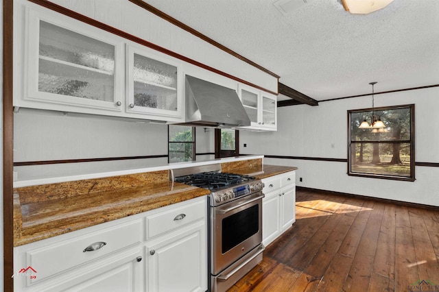 kitchen with white cabinets, range hood, dark wood-type flooring, and stainless steel range