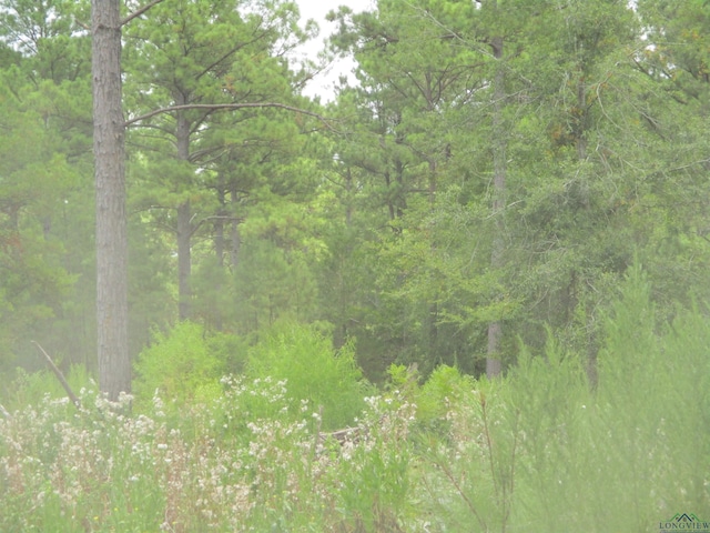 0000 Fm 782, Henderson, TX 75654 - photo 3