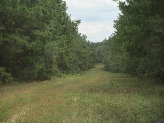 0000 Fm 782, Henderson, TX 75654 - photo 5