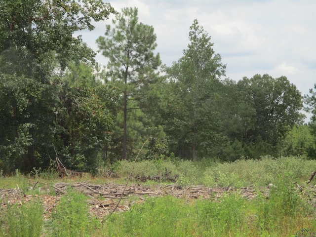 0000 Fm 782, Henderson, TX 75654 - photo 4