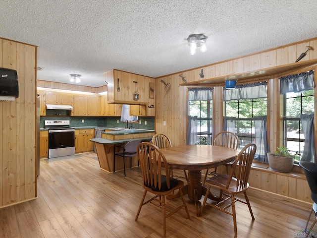 dining room featuring wooden walls, light hardwood / wood-style flooring, and sink