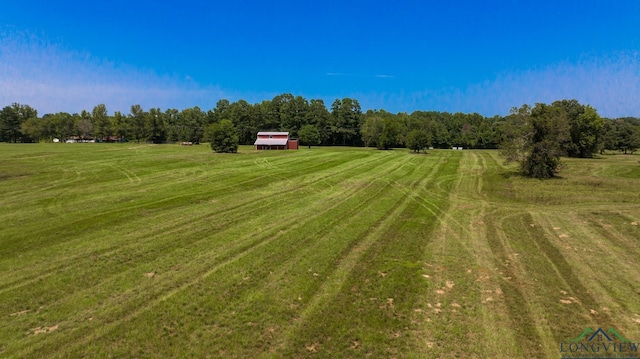 view of yard with a rural view