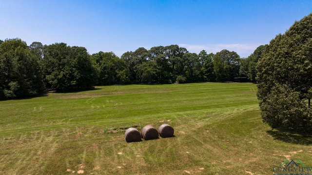 view of landscape with a rural view