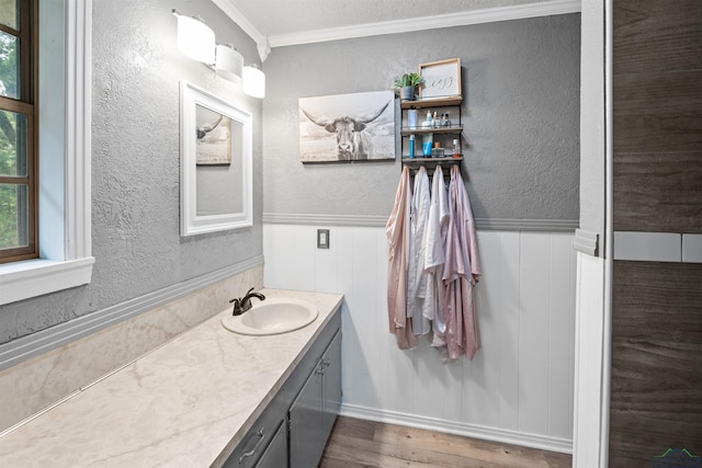 bathroom featuring hardwood / wood-style flooring, vanity, and ornamental molding