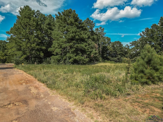 Listing photo 3 for TBD Lake Gladewater Dr, Gladewater TX 75647