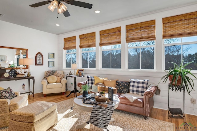 living room featuring ceiling fan and light hardwood / wood-style flooring