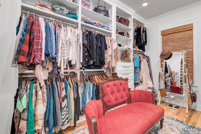 spacious closet with light wood-type flooring