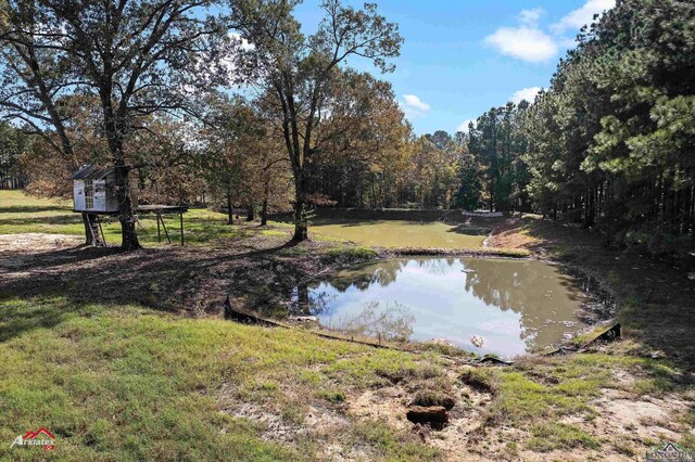 2878 A B Carter Rd, Hallsville, TX 75650 - photo 47