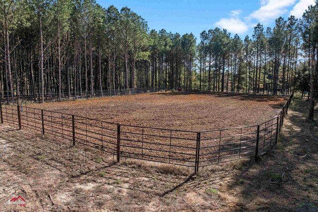 2878 A B Carter Rd, Hallsville, TX 75650 - photo 35