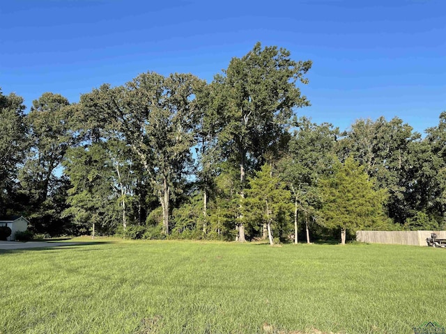 905 University, Carthage, TX 75633 - photo 5