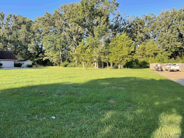 905 University, Carthage, TX 75633 - photo 3