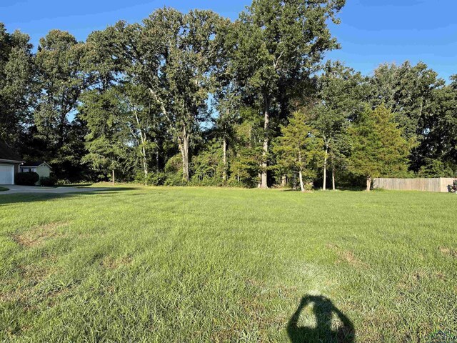 905 University, Carthage, TX 75633 - photo 4