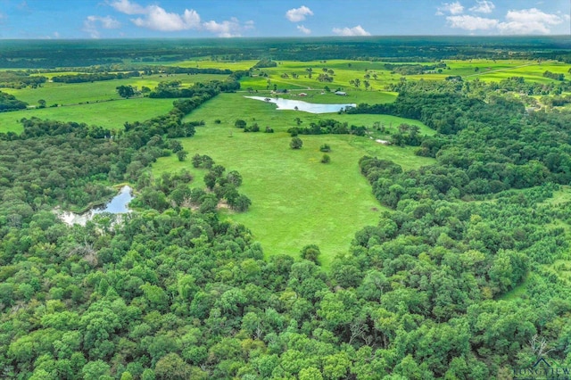 Listing photo 3 for 100/-ACRES Fm 773, Grand Saline TX 75140