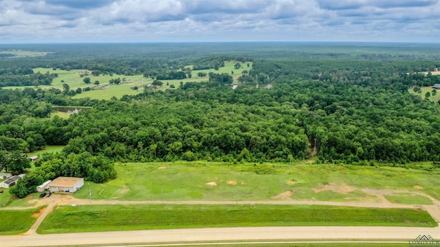 6171 US Highway 59 N, Jefferson, TX 75657 - photo 12