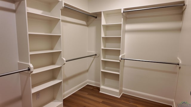 spacious closet featuring dark wood-style flooring