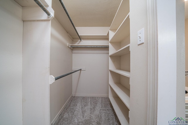 spacious closet featuring carpet flooring