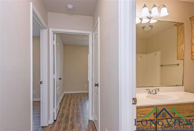bathroom with wood finished floors and vanity