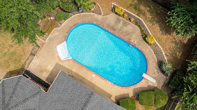 view of pool with a diving board