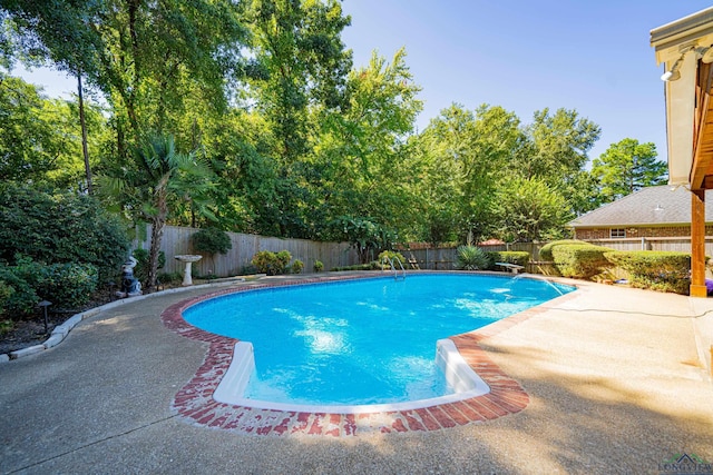 view of swimming pool with a patio area