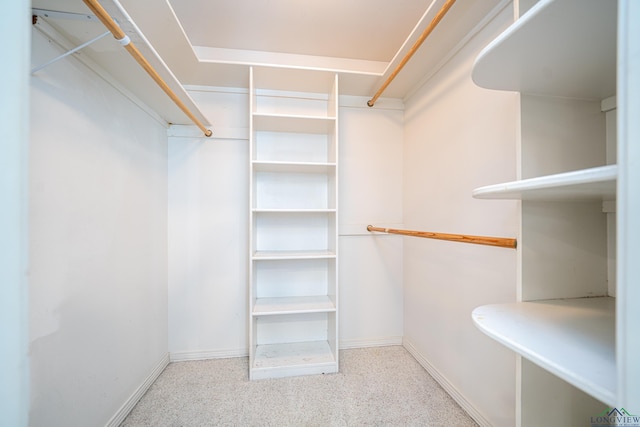 walk in closet with light carpet