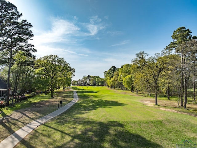 view of property's community with a yard
