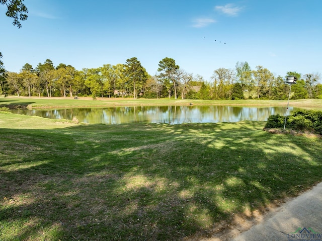 property view of water