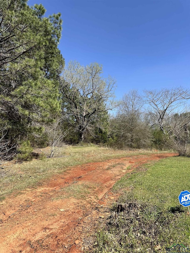TBD Fm 248, Jefferson, TX 75657 - photo 2