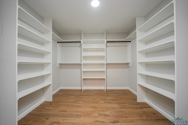 spacious closet with wood-type flooring