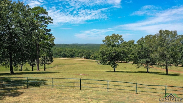 view of yard with a rural view