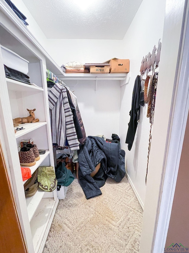 spacious closet with carpet floors