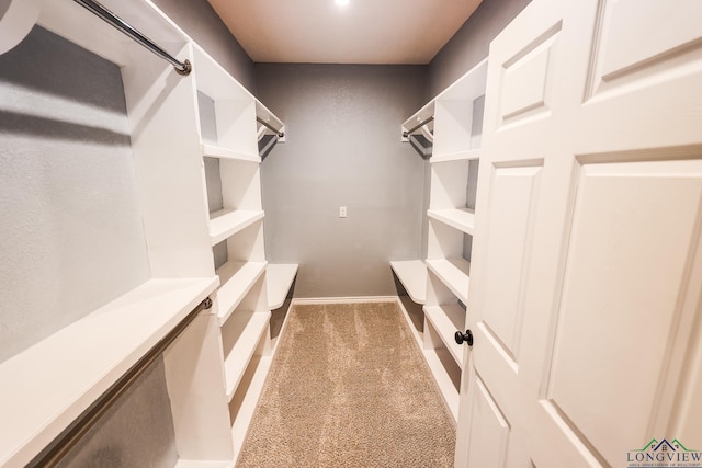 walk in closet featuring light carpet